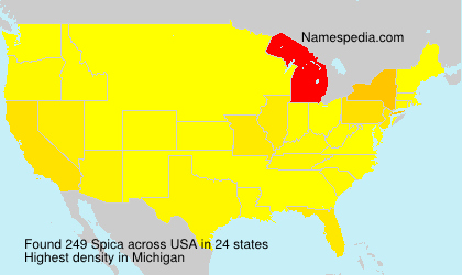 Surname Spica in USA