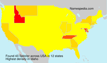 Surname Spitzler in USA