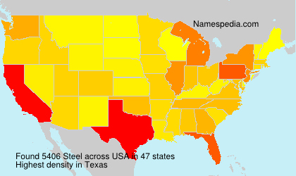 Surname Steel in USA