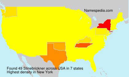 Surname Stinebrickner in USA