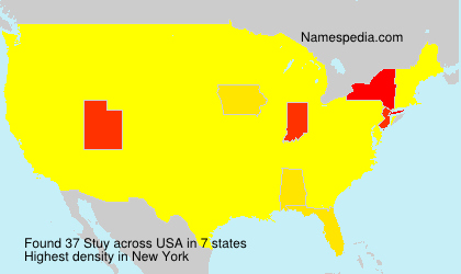 Surname Stuy in USA
