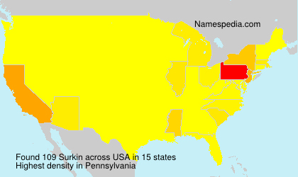 Surname Surkin in USA