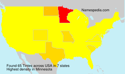 Surname Tintes in USA
