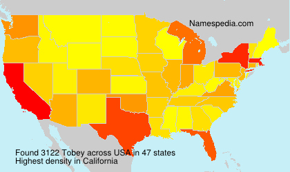 Surname Tobey in USA