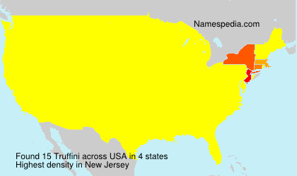 Surname Truffini in USA