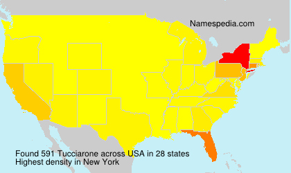 Surname Tucciarone in USA
