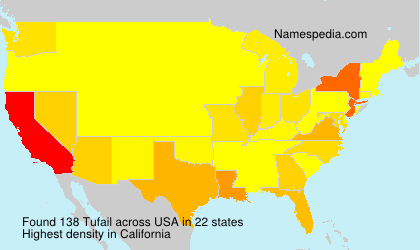 Surname Tufail in USA