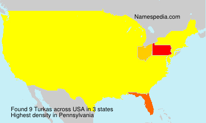 Surname Turkas in USA