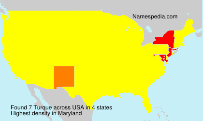 Surname Turque in USA