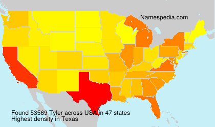 Surname Tyler in USA