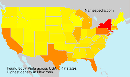 Surname Viola in USA