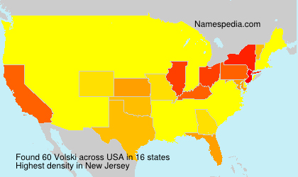 Surname Volski in USA