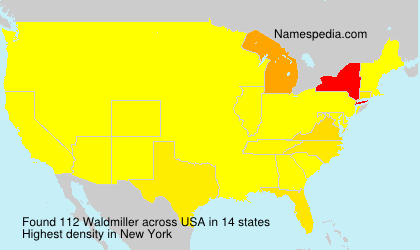 Surname Waldmiller in USA
