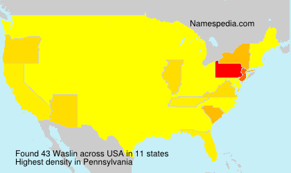 Surname Waslin in USA