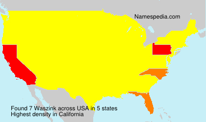 Surname Waszink in USA