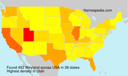 Surname Weyland in USA