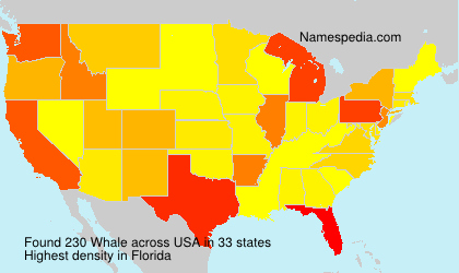 Surname Whale in USA