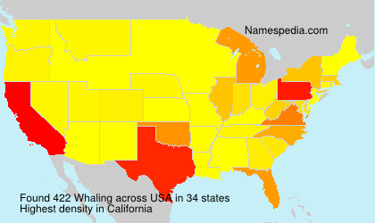 Surname Whaling in USA
