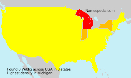 Surname Wildig in USA