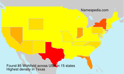 Surname Wohlfeld in USA