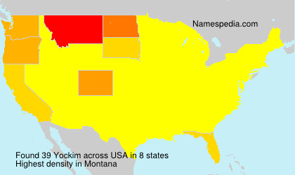 Surname Yockim in USA