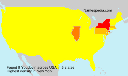 Surname Youdovin in USA