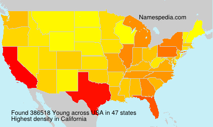 Surname Young in USA