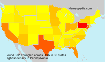Surname Youngkin in USA