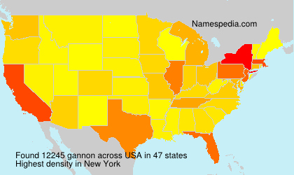 Surname gannon in USA