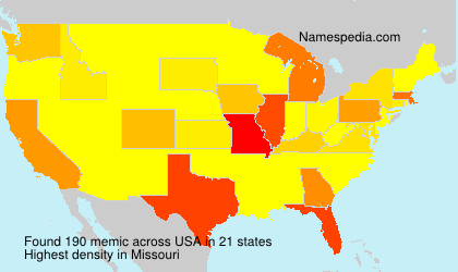 Surname memic in USA