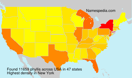 Surname phyllis in USA